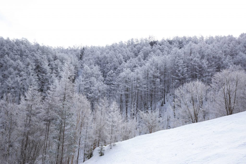 雪景色