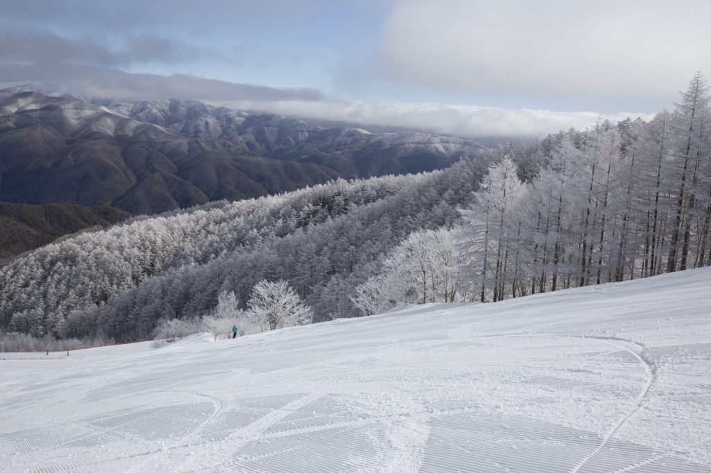 雪景色