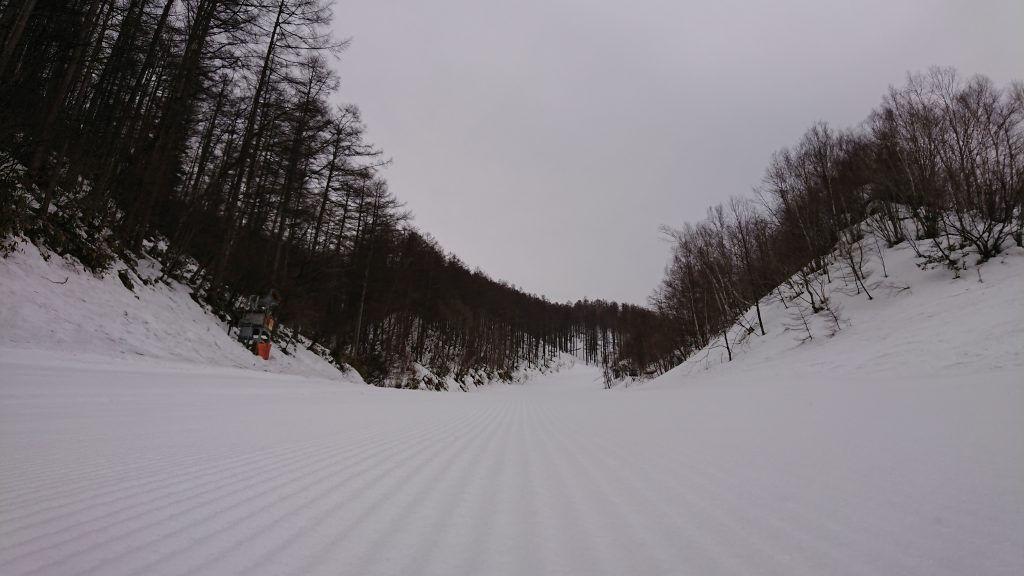 上部は雪でした