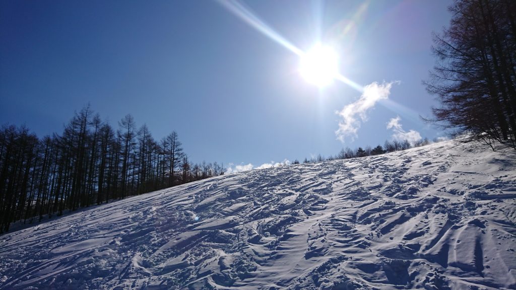 ご来場ありがとうございます!!