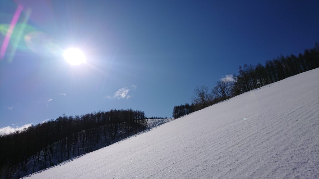 ご来場ありがとうございます!!