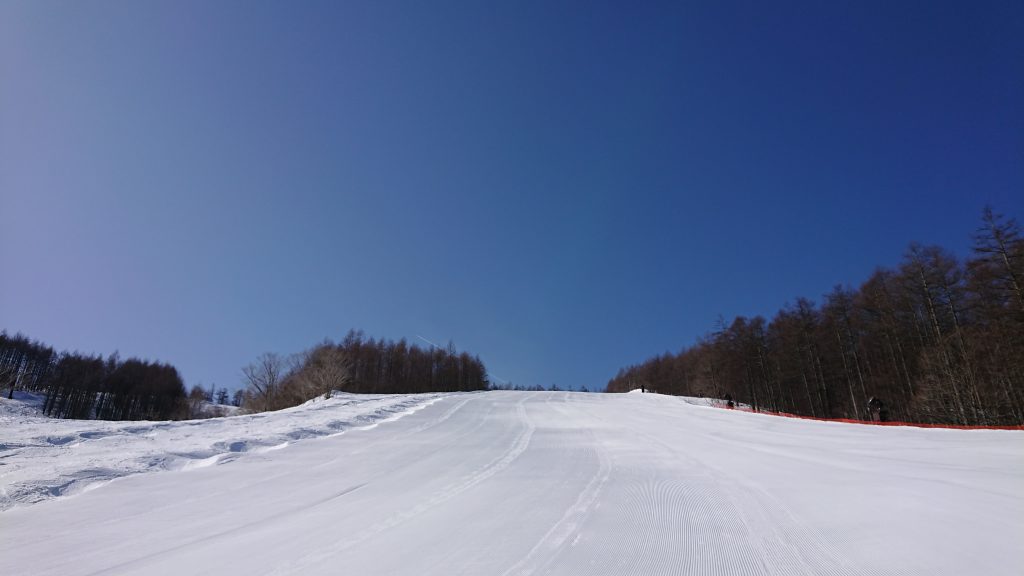 今日は…春分の日ですね。