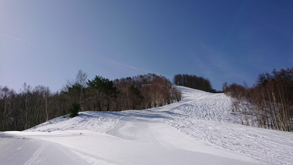 今日は…春分の日ですね。