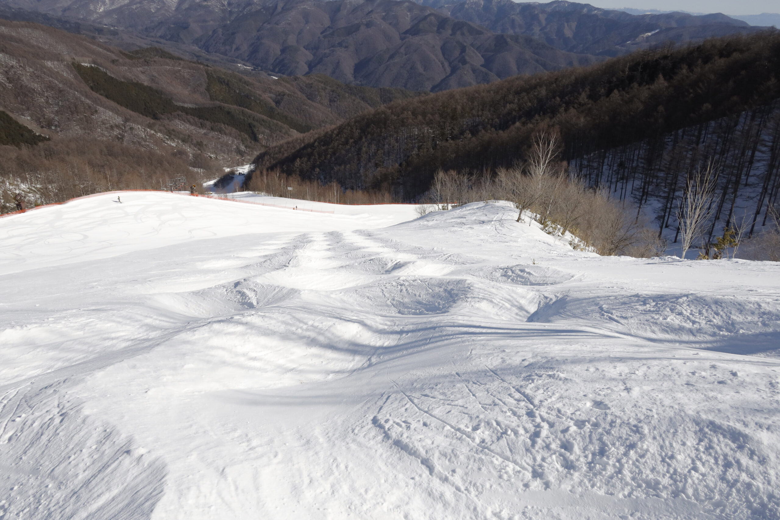 すばらしいコブ斜面 | やぶはら高原スキー場