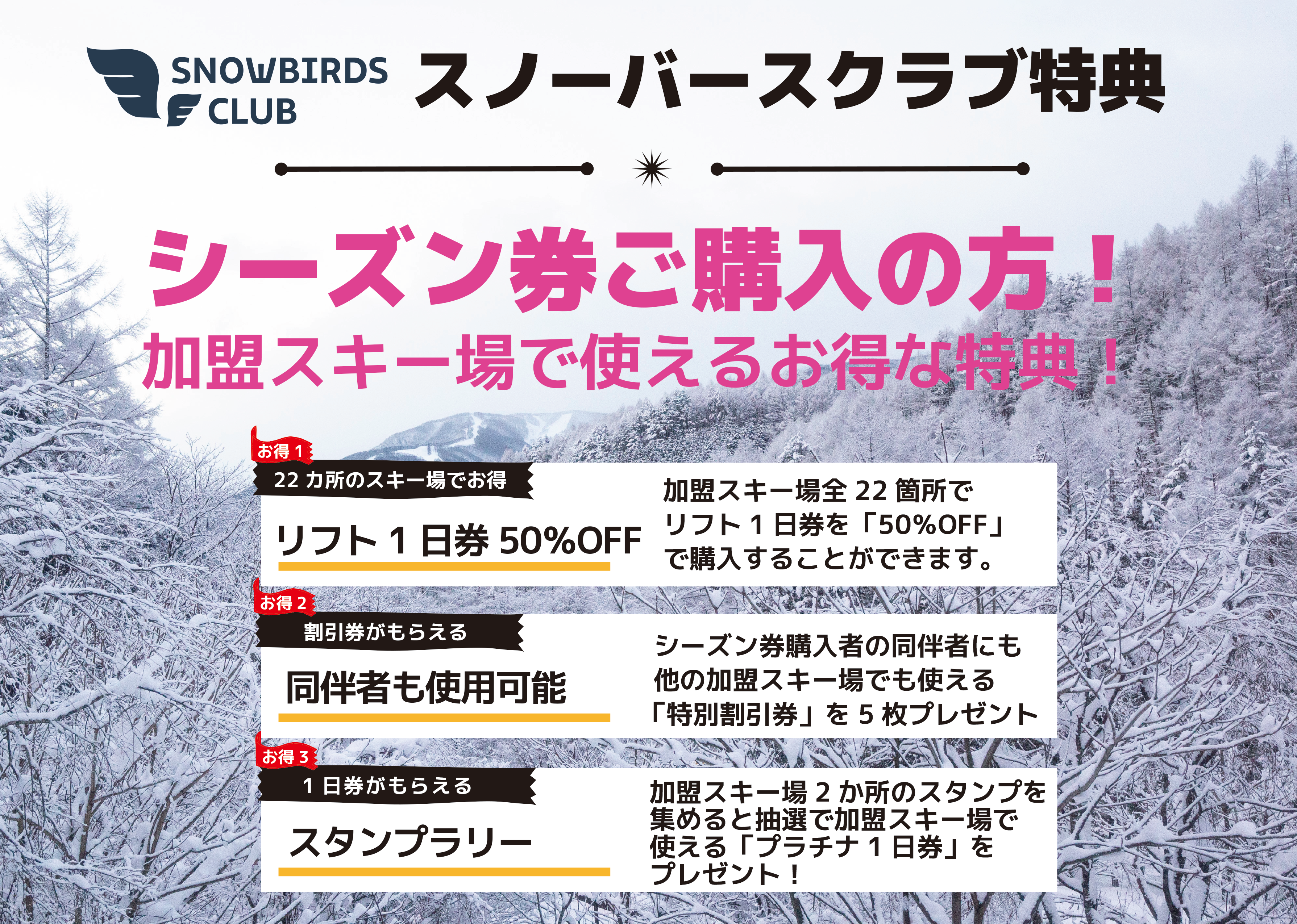 2025シーズン早割シーズン券のご案内 | やぶはら高原スキー場