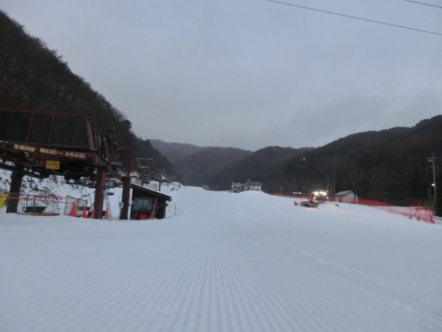 本日シニアデー